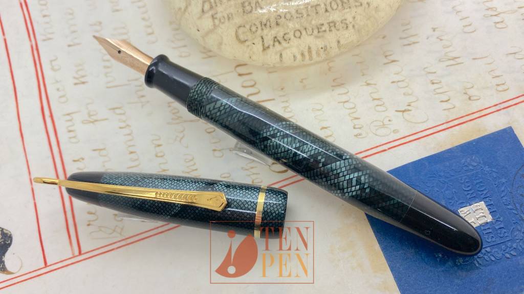 PEN RESCUE - BLUE LIZARD 02 | Tenpen - By Letizia Iacopini